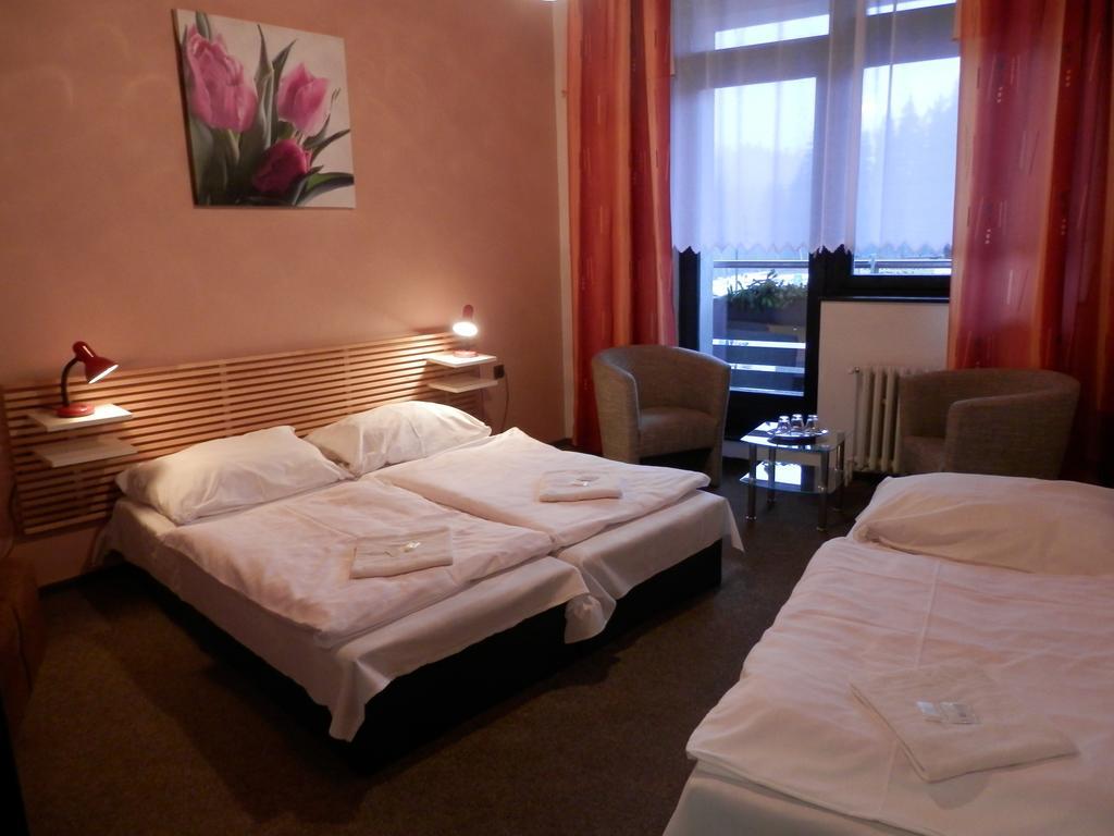 Pension Mona Harrachov Room photo