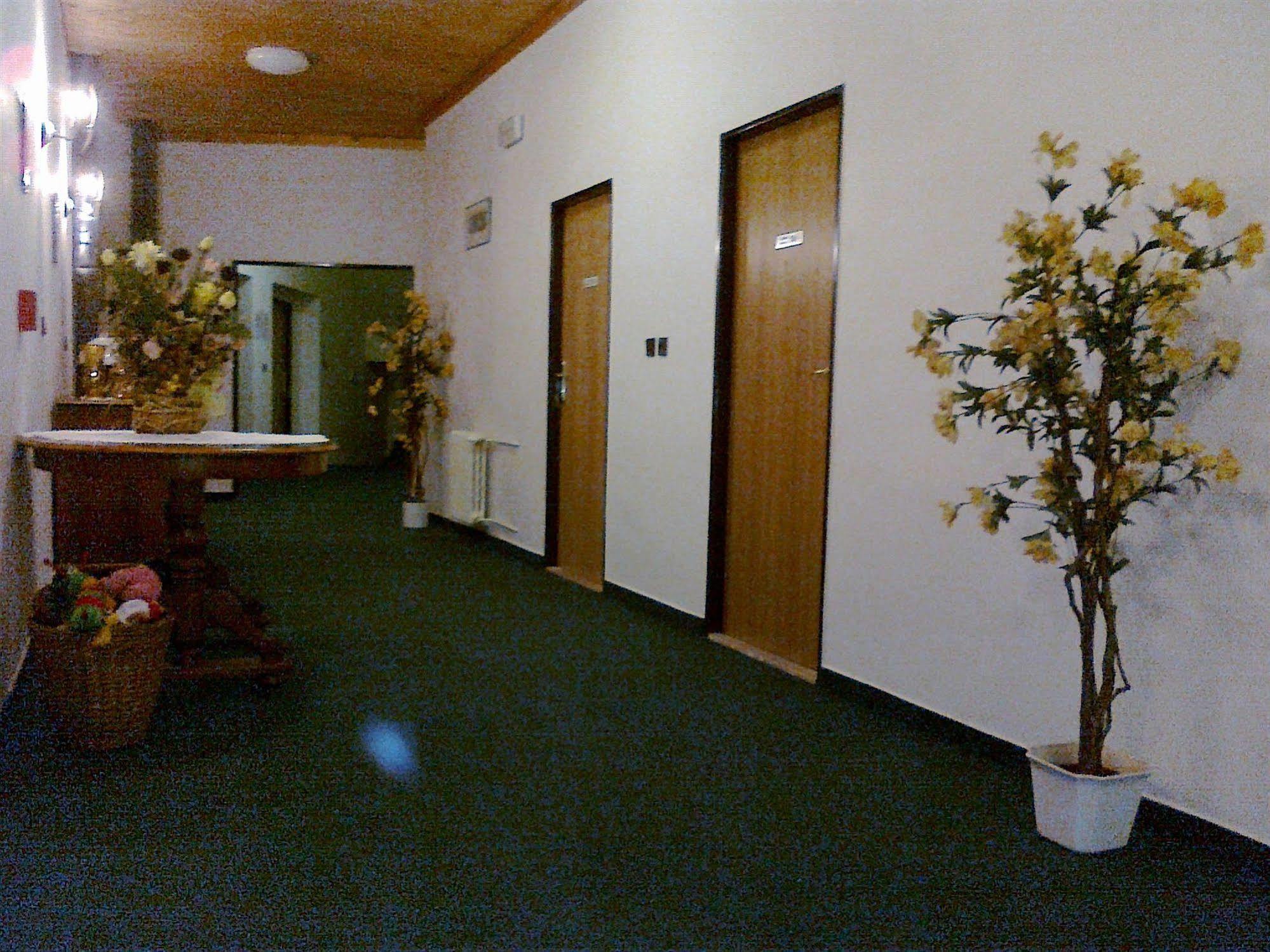 Pension Mona Harrachov Exterior photo